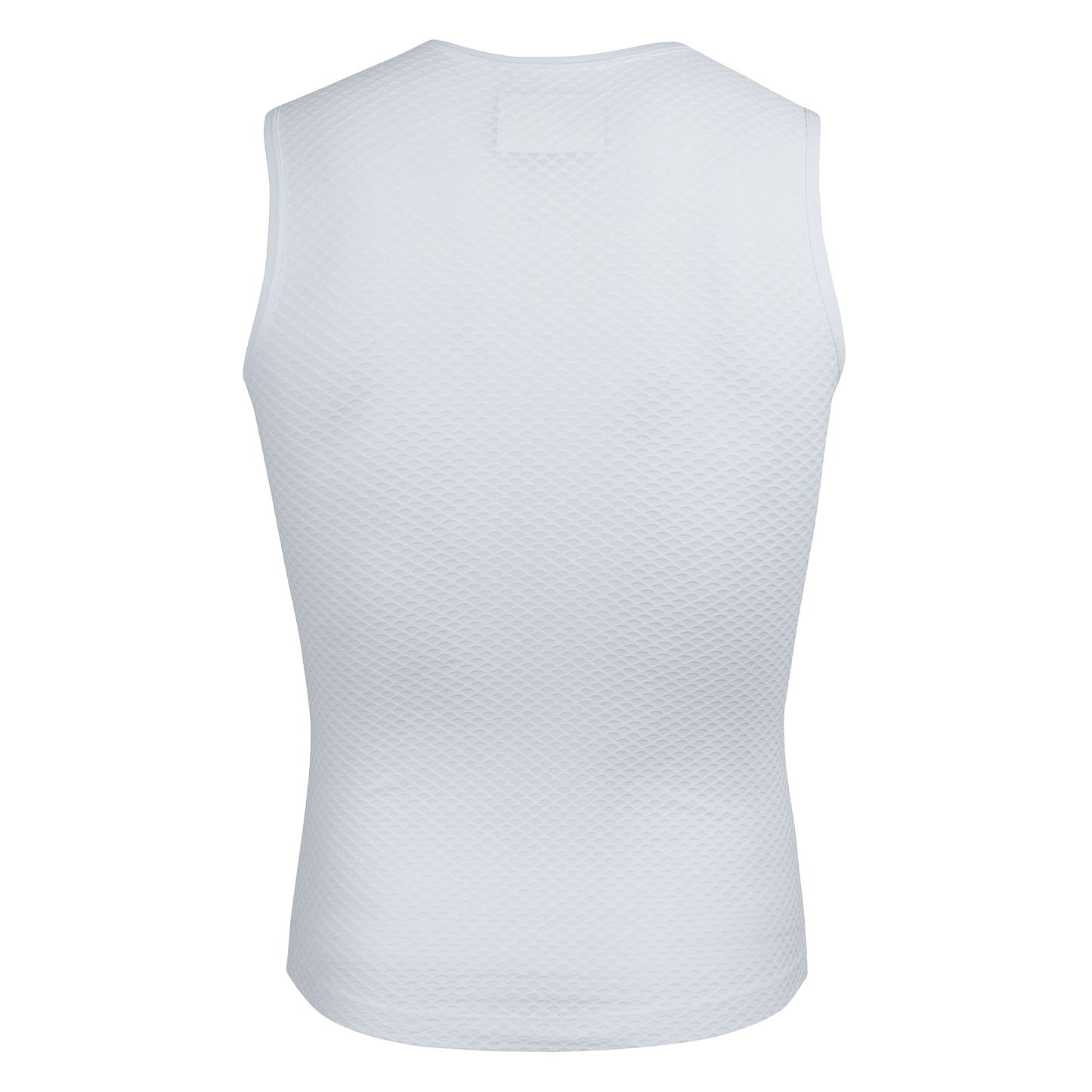Base Layer